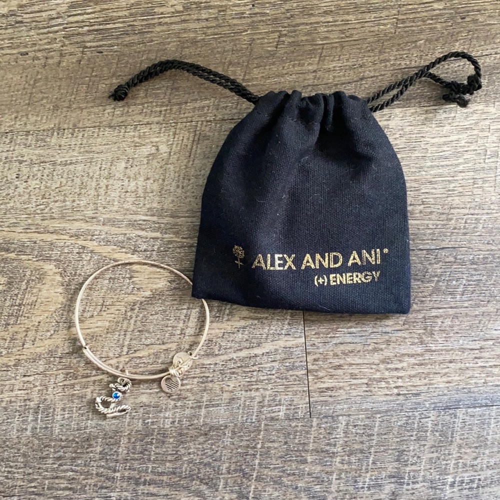 ALEX & ANI Anchor Bracelet with blue gem 💙